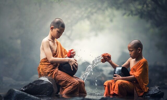 Jak czyścić psu łapy po spacerze?