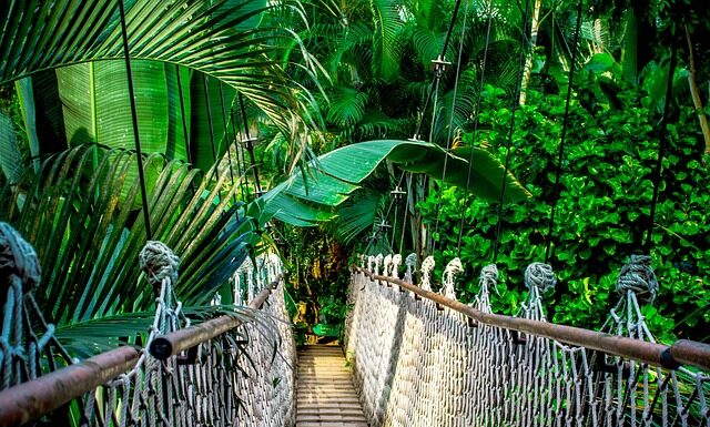 Co po kursie Groomerskim?