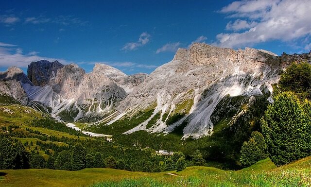 Ile dać stewii zamiast cukru? Ile dać stewii zamiast cukru?