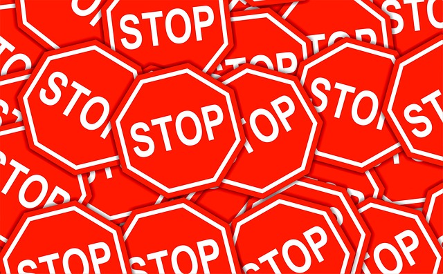 Jak oznakować kota? Jak oznakować kota?