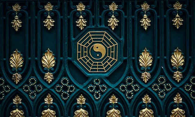 Kiedy podawać kotu suchą karmę?