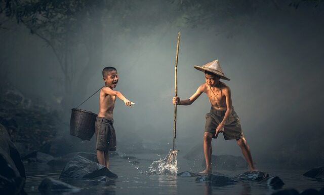 Czy ryby lubią słońce?