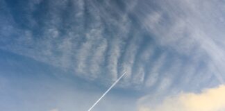 Gdzie kupić chemię do domu? Gdzie kupić chemię do domu?