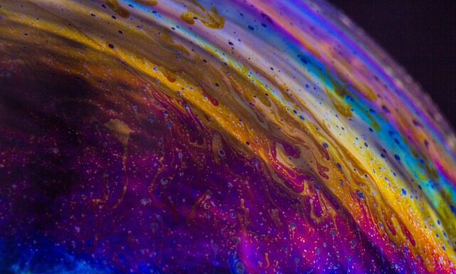 W jakim szamponie kąpać kota?