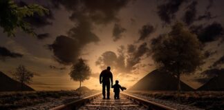 Jakie podłoże pod żwir do akwarium? Jakie podłoże pod żwir do akwarium?