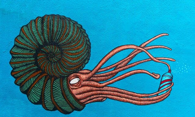 Co lepsze syfon czy saturator? Co lepsze syfon czy saturator?